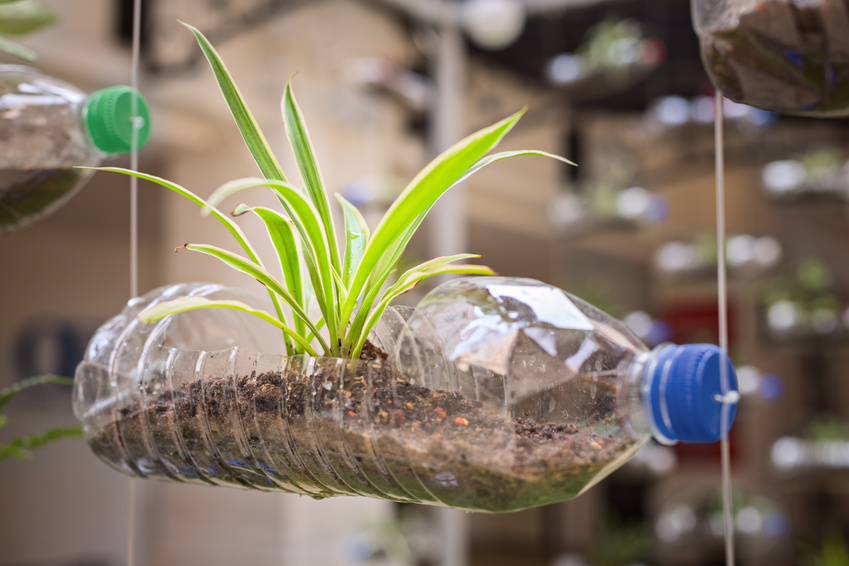 Green-PE – der nachhaltige Bio-Kunststoff